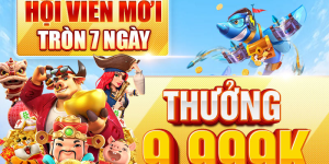 Ưu Đãi Và Khuyến Mãi Hấp Dẫn Tại new88666